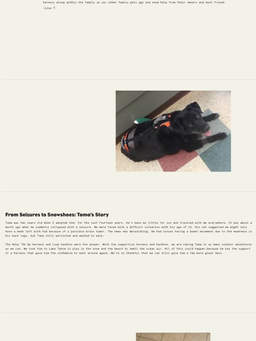 Help 'Em Up Dog Harness, plus optional Walking Handle, for dogs 45-80 pounds - Picture 7 of 7